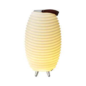 Synergy | LED Lamp, Wine Cooler & Bluetooth speaker