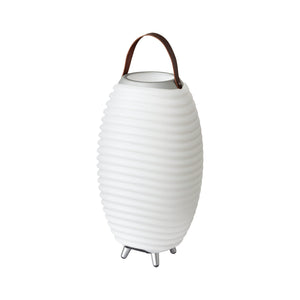 Synergy | LED Lamp, Wine Cooler & Bluetooth speaker