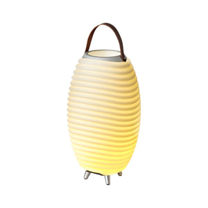 Synergy | LED Lamp, Wine Cooler & Bluetooth speaker