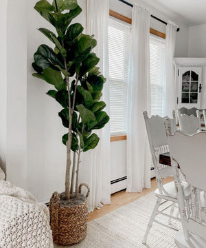 Cece - Water Hyacinth Planter