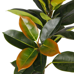 Vero Artificial Rubber Potted Plant 39''