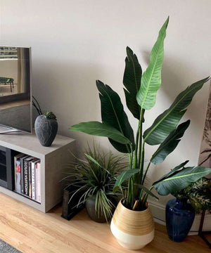 Zapo Artificial Bird Of Paradise Potted Plant (Multiple Sizes)