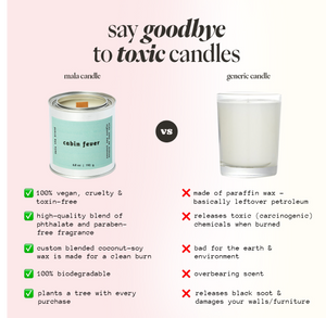 Cabin Fever | Cypress + Evergreen + Moss