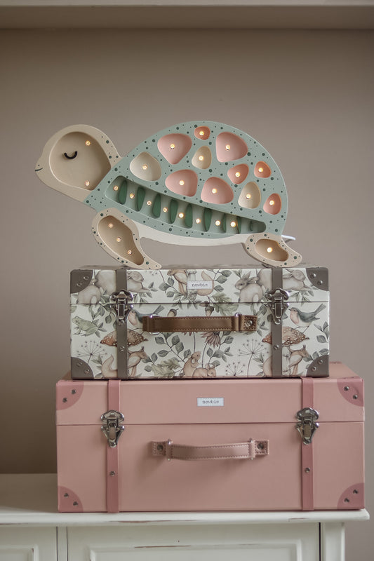 Little Lights - Handmade Turle Light