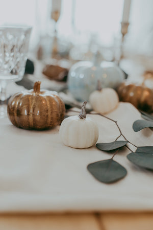 Preserved Silver Dollar Eucalyptus Bundle