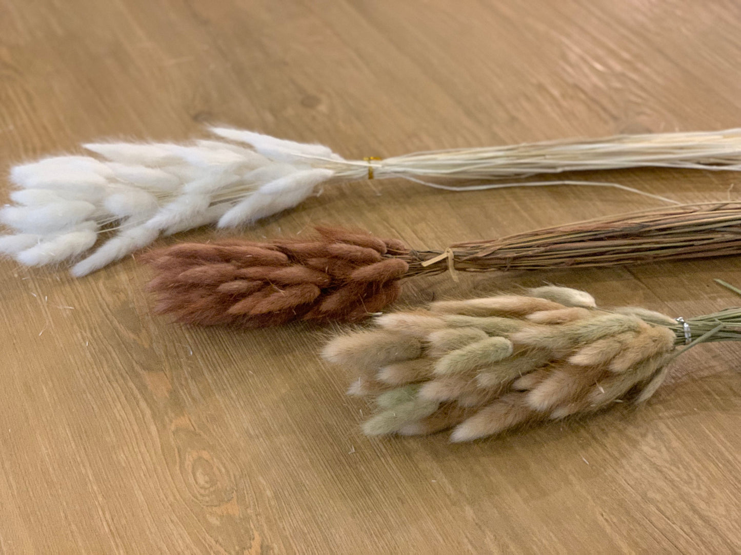 Dried Bunny Tail Bunch- Approx. 60 Stems