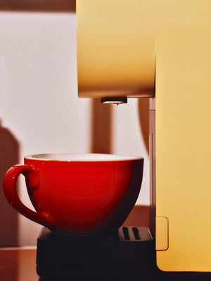 MORNING The Morning Mini (120V)